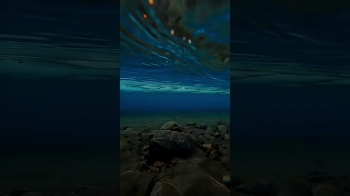 Healling Landscape Beautiful Videos 00026 | Healing Landscape #shorts #healinglandscape #healing Healling Landscape Beautiful Videos 00026 | Healing Landscape #shorts #healinglandscape #healing