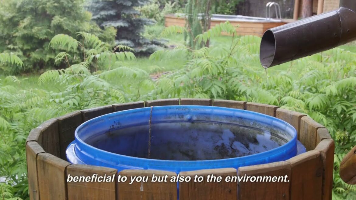 Rainwater Collection Barrels: The Eco-Friendly Solution for Conserving Water and Reducing Your Bills