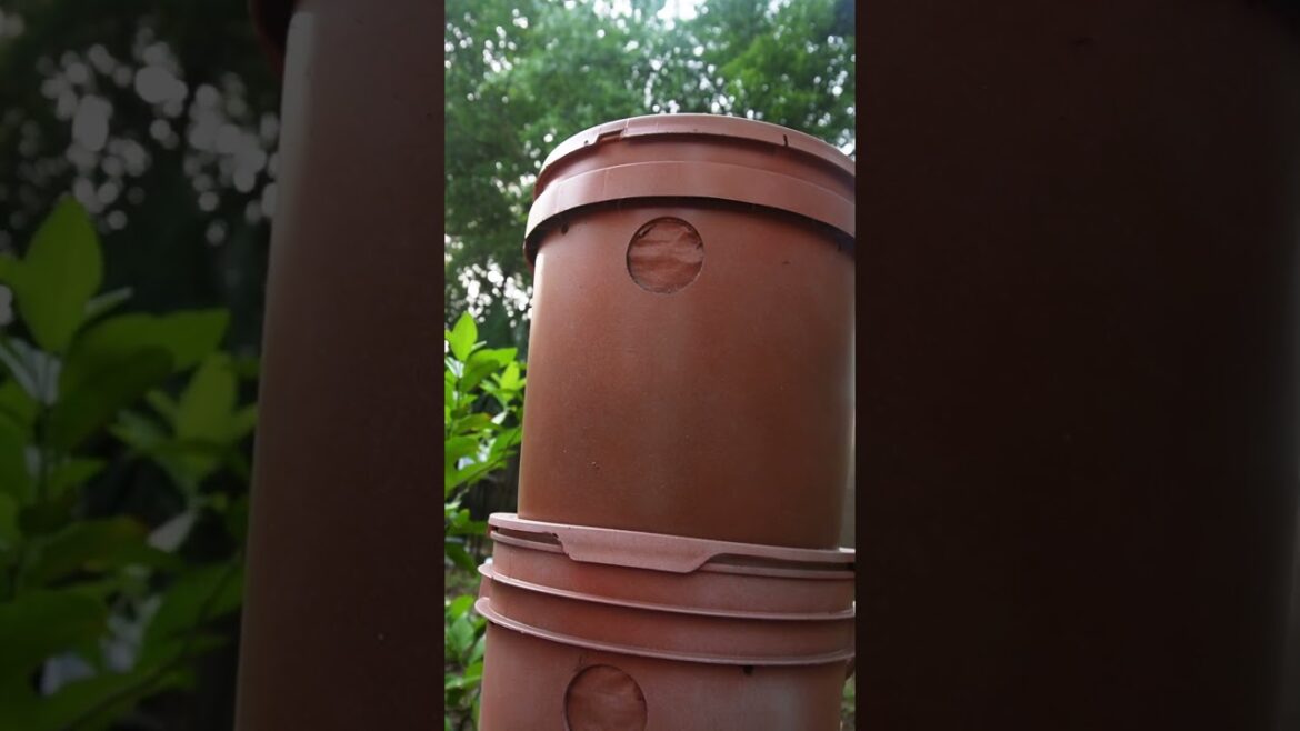 Cheap & Easy Hydroponics Spring Garden