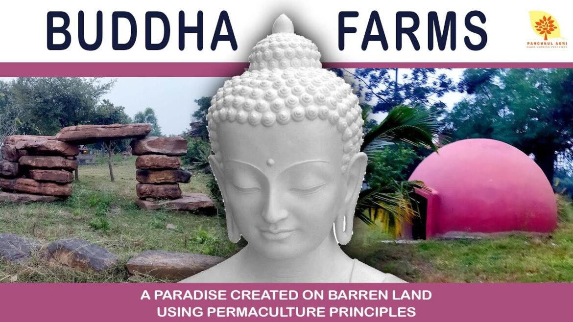 Buddha Farms (Bhopal) | A Paradise Created On Barren Land Using Permaculture Principles Buddha Farms (Bhopal) | A Paradise Created On Barren Land Using Permaculture Principles