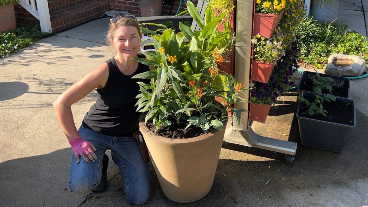 Spring Pollinator Container Garden Combo Spring Pollinator Container Garden Combo