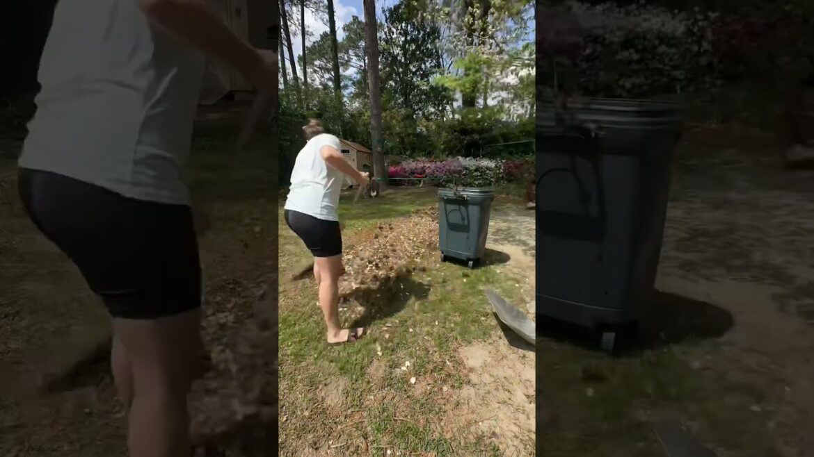 1 hour yard clean up sped up! | Cleaning backyard Timelapse video 1 hour yard clean up sped up! | Cleaning backyard Timelapse video
