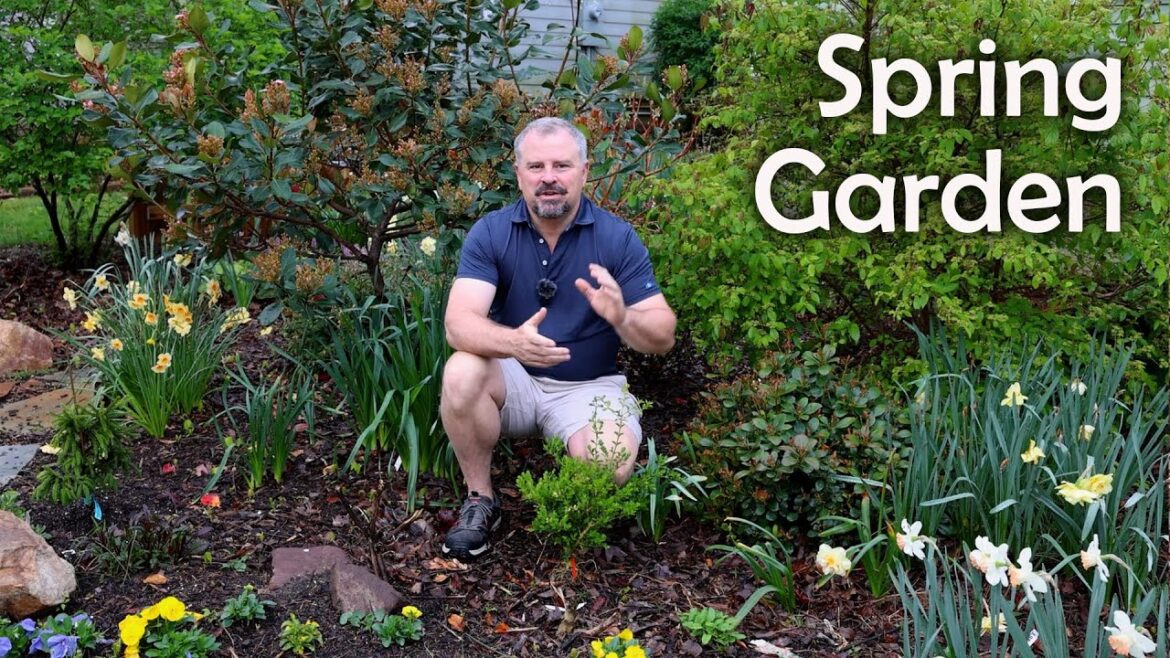 Spring Gardening – April is go time! Spring Gardening - April is go time!