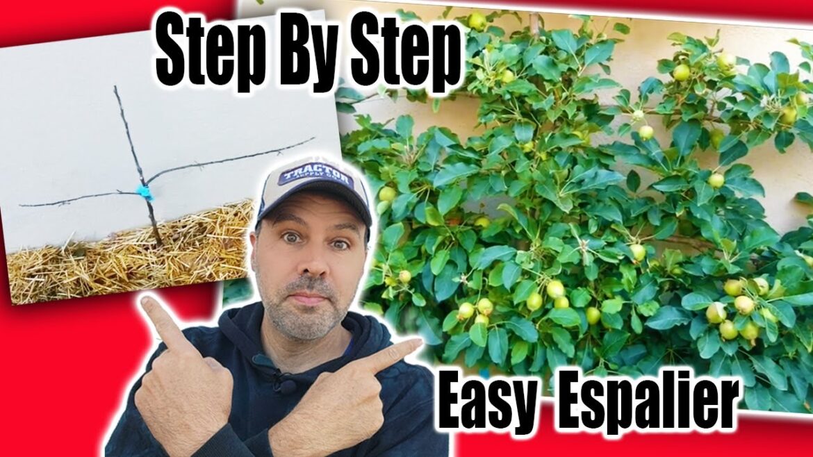 California Garden TV: Grow Fruit Trees in a Small Space Grow Fruit Trees in a Small Space