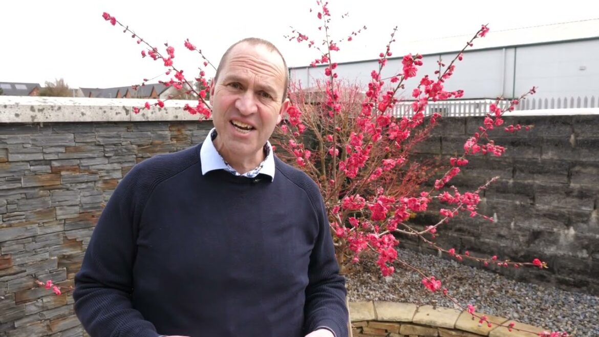 Garden Design Help with Peter Dowdall Garden Design Help with Peter Dowdall