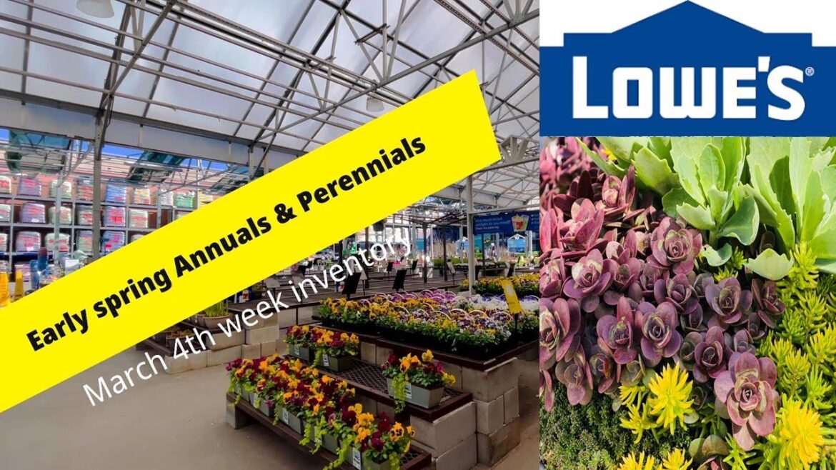 2023 March Inventory | Lowes, NJ | Spring Blooming Annuals & Perennials | Backyard Garden Highlights 2023 March Inventory | Lowes, NJ | Spring Blooming Annuals & Perennials | Backyard Garden Highlights