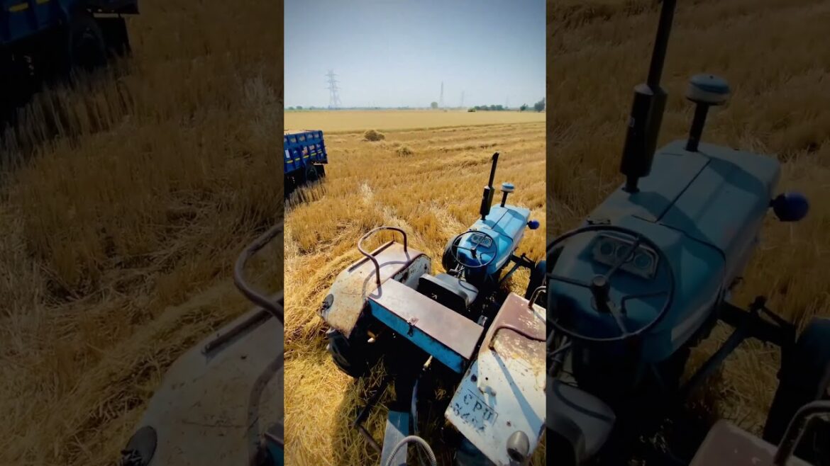 FARMING 💥 /VILLAGE LIFESTYLE 💥#viral #shortvideo #farming FARMING 💥 /VILLAGE LIFESTYLE 💥#viral #shortvideo #farming