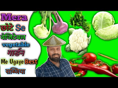 vegetable garden tour//sabji ki bagan//bagan ki sabji//bagan bari ki sabji//sabji bazar vegetable garden tour//sabji ki bagan//bagan ki sabji//bagan bari ki sabji//sabji bazar
