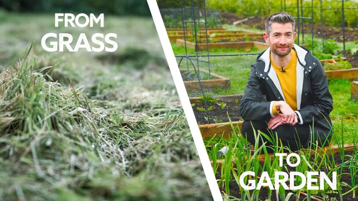 How I Made My Vegetable Garden in 12 Weeks!