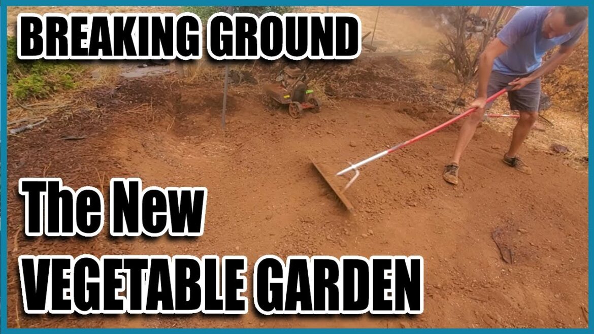 Creating the Homestead Vegetable Garden From Scratch // Gardening on a Slope With a Terraced Garden