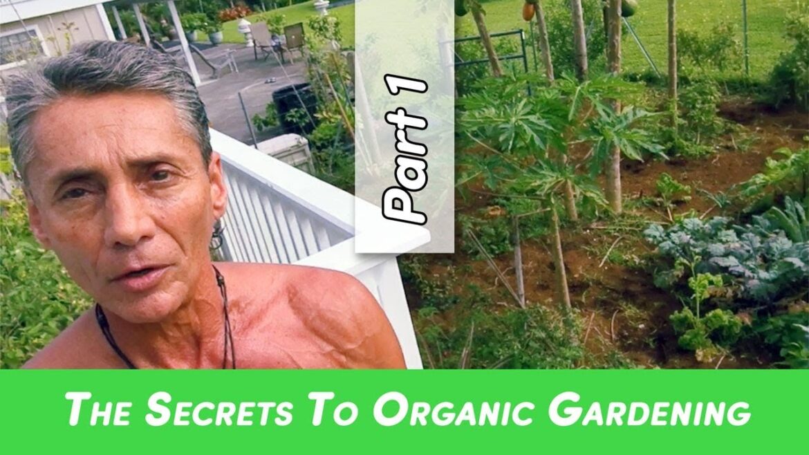 The Secrets To Organic Gardening Part 1 | Dr. Robert Cassar