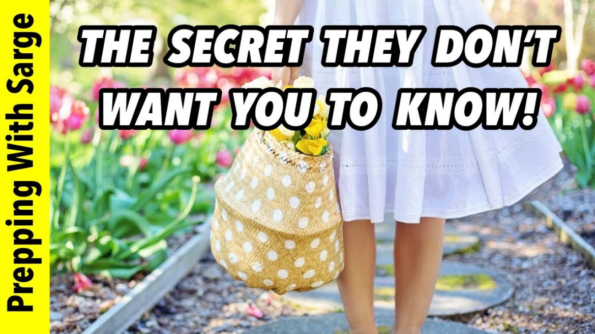 These Top Gardening Channels Are Not Telling You Everything… These Top Gardening Channels Are Not Telling You Everything…