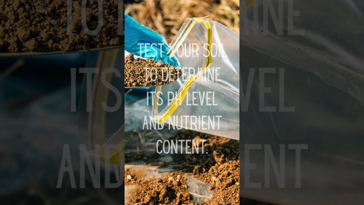 My Top 30 Gardening Tips in 30 Days #march31challenge #garden #tips #plants