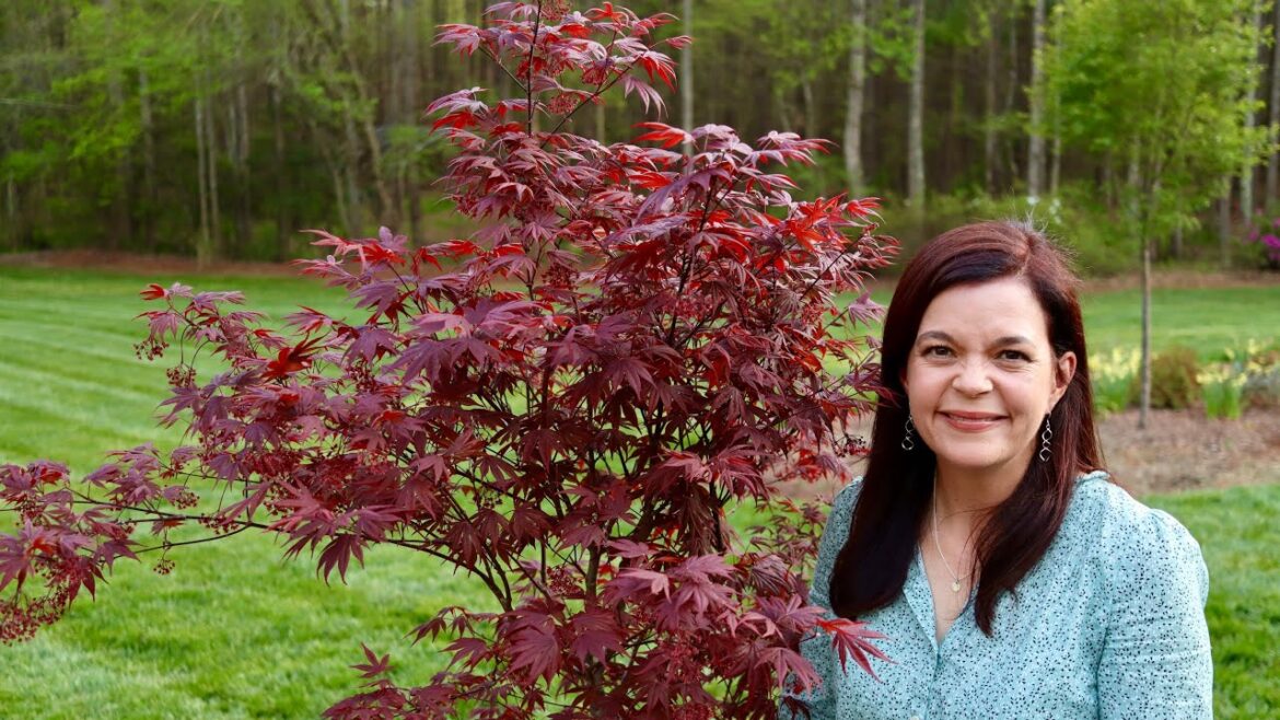 Early April Garden Tour | Gardening with Creekside Early April Garden Tour | Gardening with Creekside