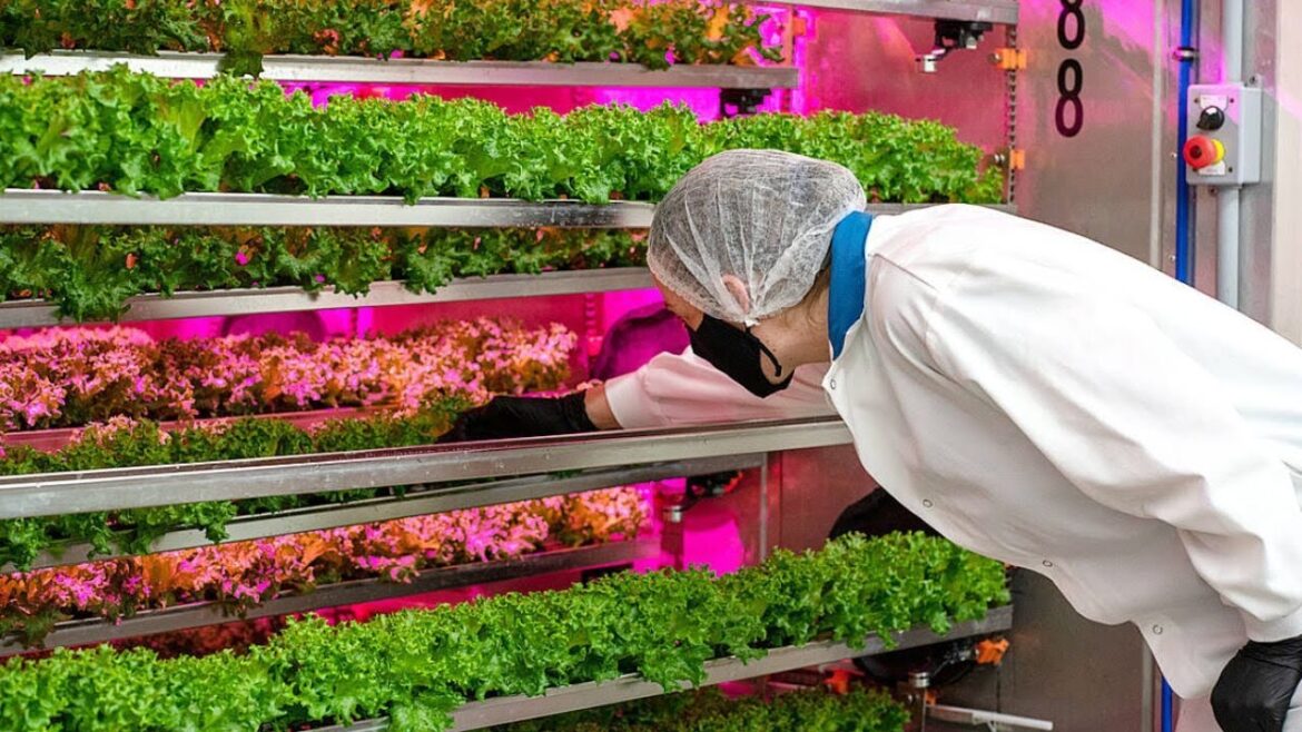 Indoor Vertical Farming ｜How to implement controlled environment strategies?