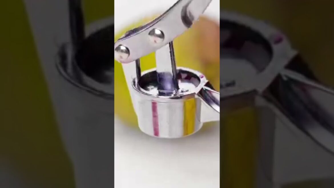 Red Dragon Fruit Garden Tips Red Dragon Fruit Garden Tips