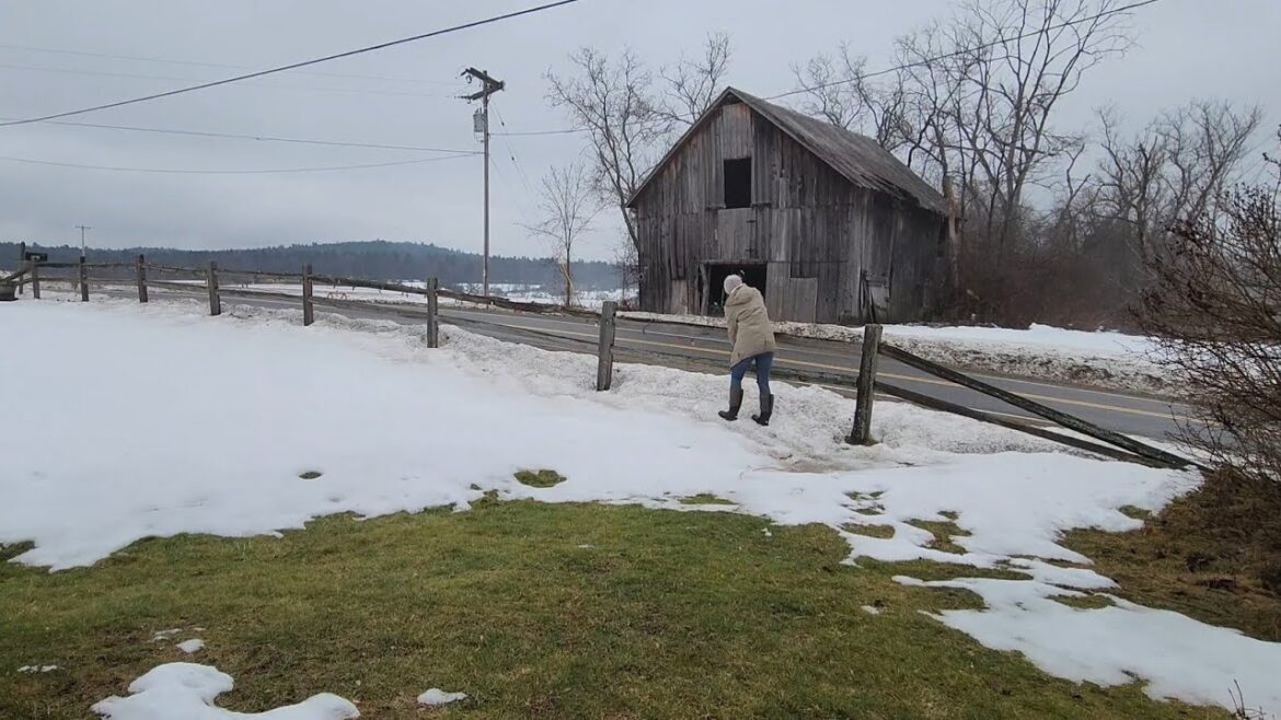 New Year: New Coop and Garden Plans