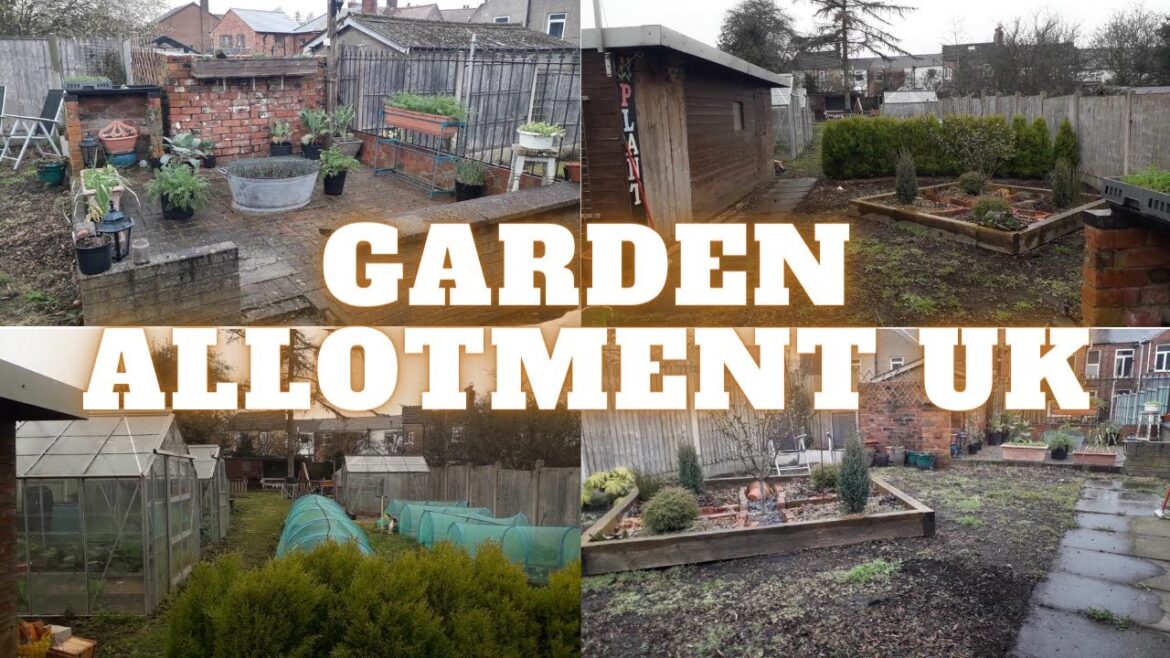 Clean Up Day [Gardening Allotment UK] [Grow Vegetables At Home ]