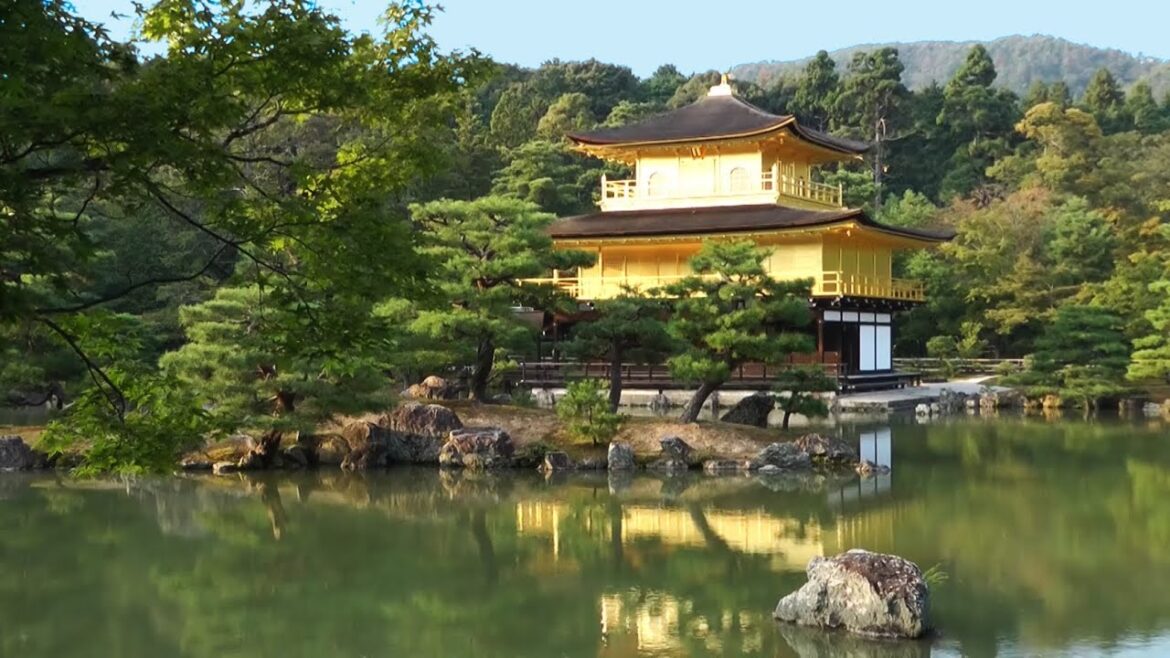 Japanese Garden - 日本庭園