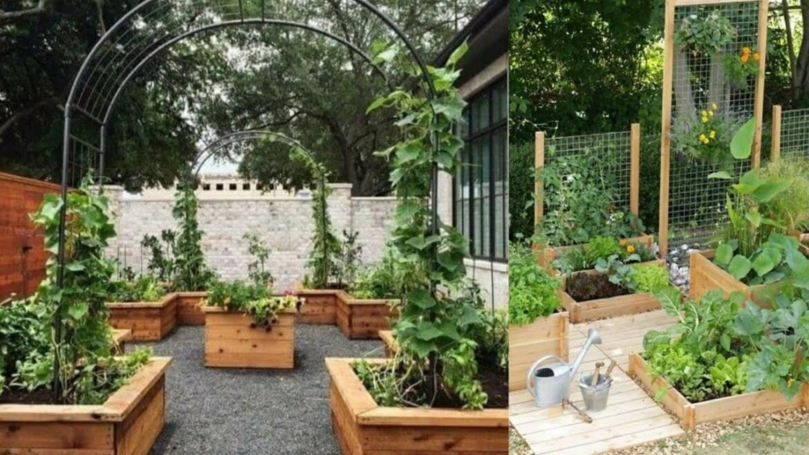 Summer vegetables gardening ideas| vegetables garden ideas