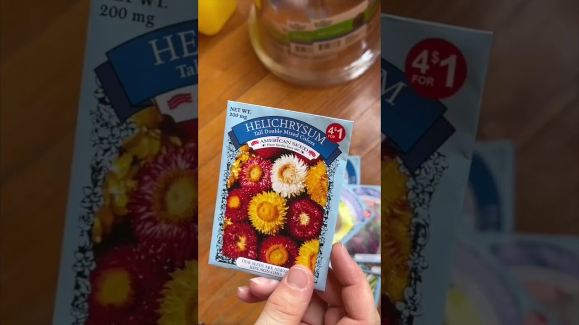 PART 2: HOW MUCH DID WE SPEND ON GARDEN SUPPLIES AT DOLLAR TREE? | 2023