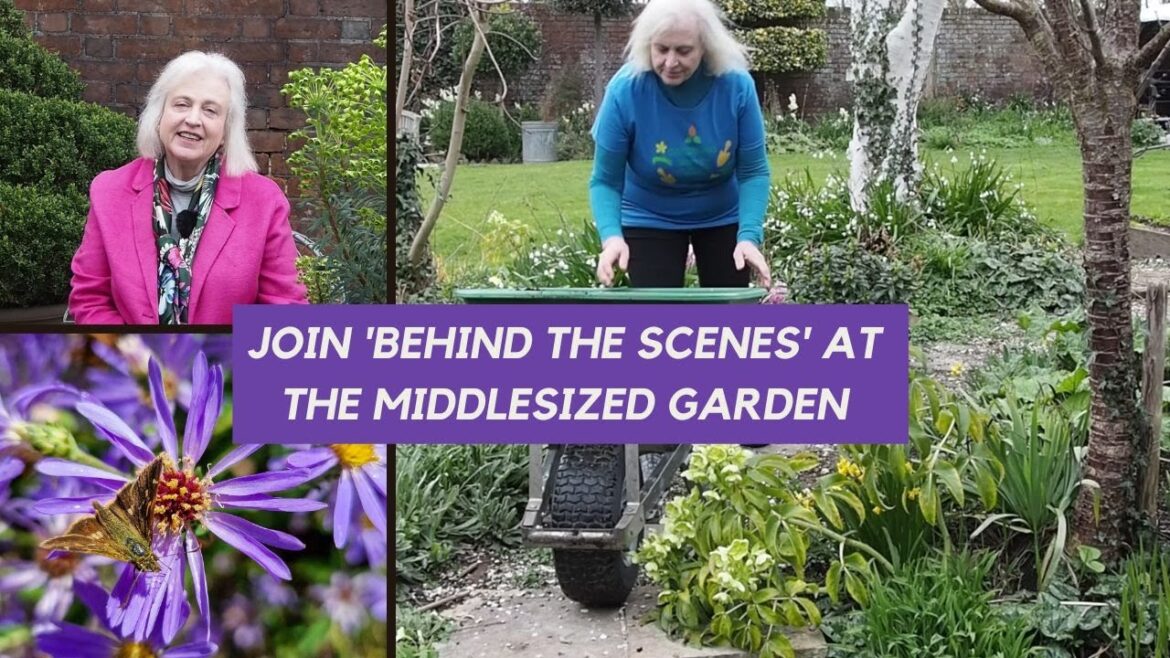 Join Behind the Scenes at the Middlesized Garden! Join Behind the Scenes at the Middlesized Garden!