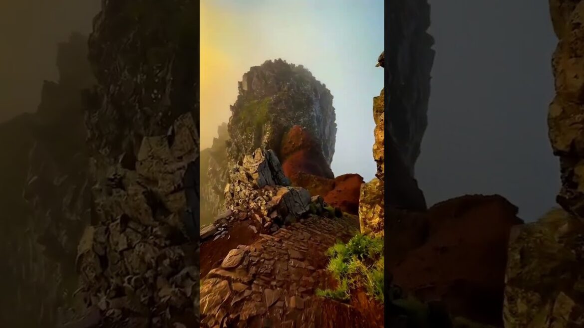 Healling Landscape Beautiful Videos 00045 | Healing Landscape #shorts #healinglandscape #healing Healling Landscape Beautiful Videos 00045 | Healing Landscape #shorts #healinglandscape #healing