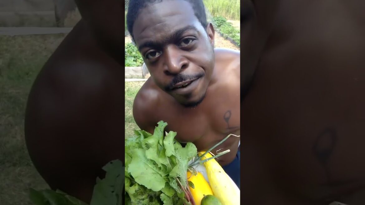 Start The Fucking Garden #Part2  #TheGroundEdGroup