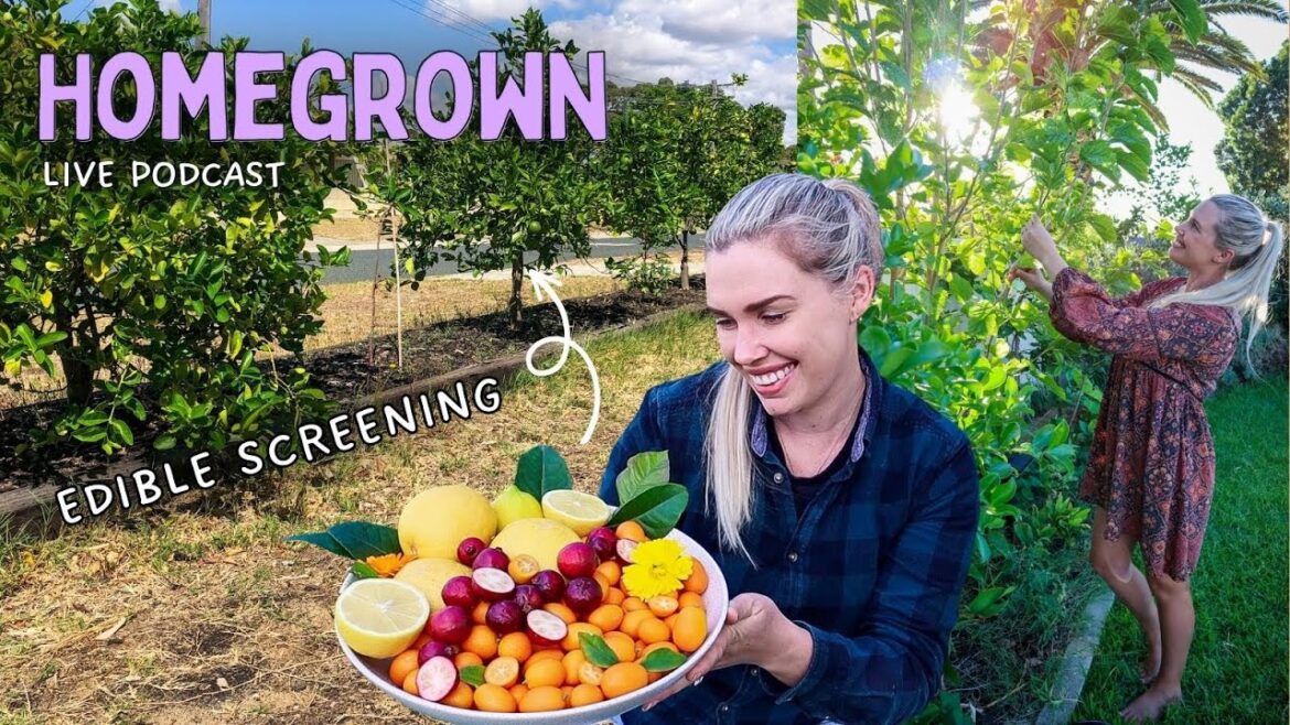 I’m starting x2 new food forest-style gardens! + April Monthly Garden Reset 🌱