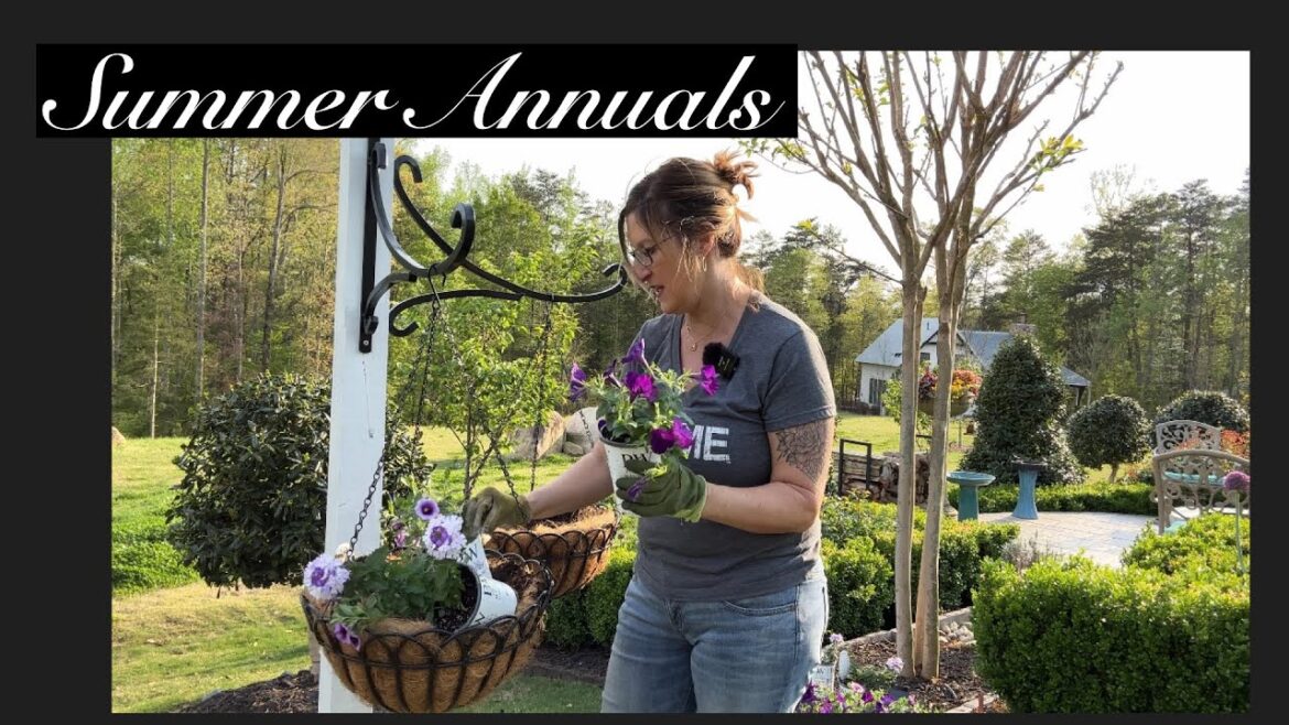 Container Plants for Full Sun and Heat: Hanging Basket Containers: First Summer Container Planting Container Plants for Full Sun and Heat: Hanging Basket Containers: First Summer Container Planting