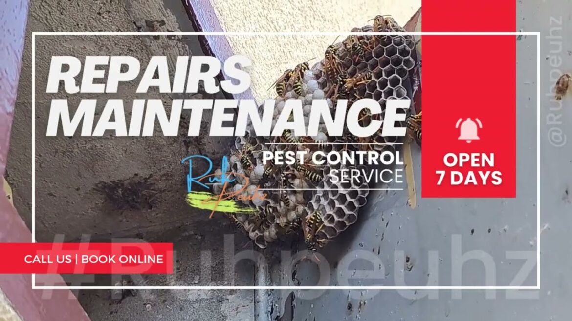 #Ruhpeuhz |  Pest Control | Book Online | ruhpeuhz.com