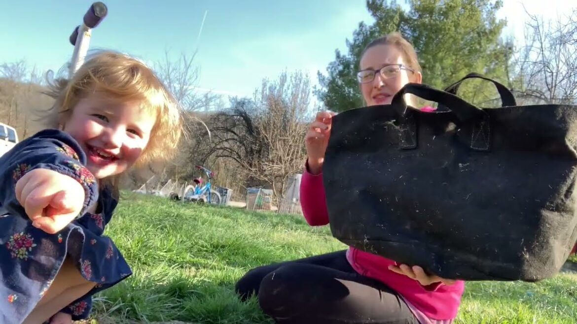 Planting Carrots in Fabric Grow Bags #homesteading #containergardening