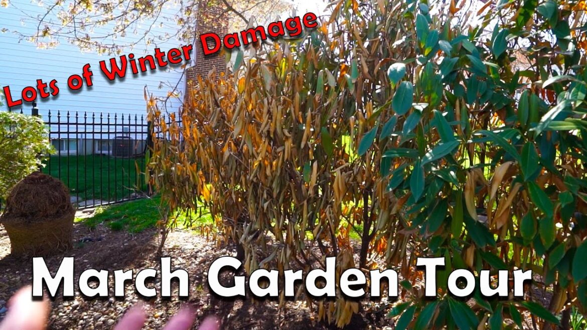 March Garden Tour 2023 March Garden Tour 2023