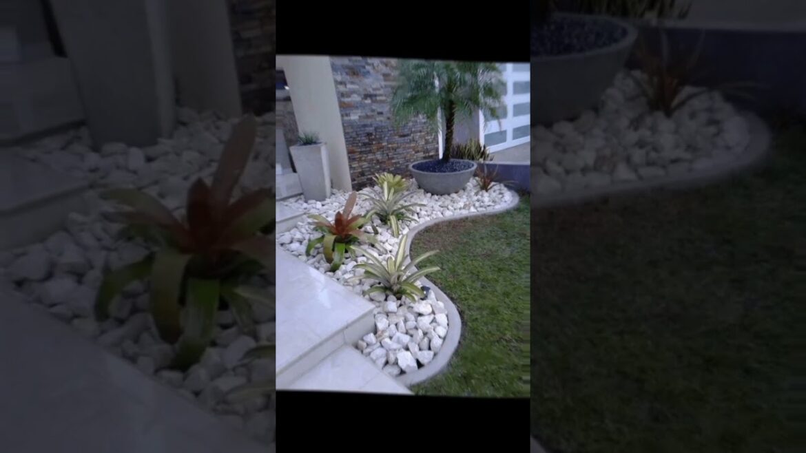 Home Garden Ideas 2023 #youtubeshorts #trending #shorts