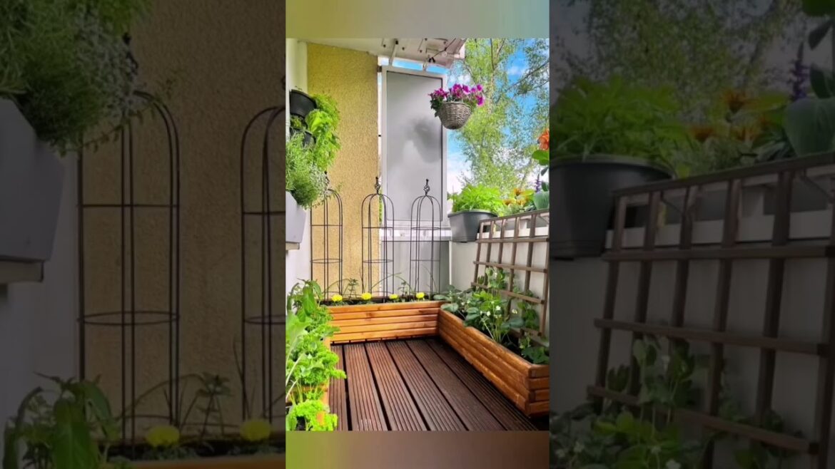 Garden Decoration Ideas. Balcony garden design and decoration ideas