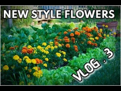 The Joys of Gardening: A Love Letter to this Time-Honored Hobby The Joys of Gardening: A Love Letter to this Time-Honored Hobby