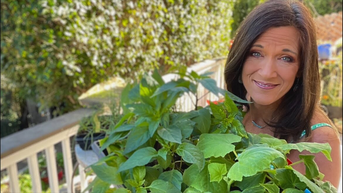 🍅LIVE: 5 tips for the Best Spring Garden Ever