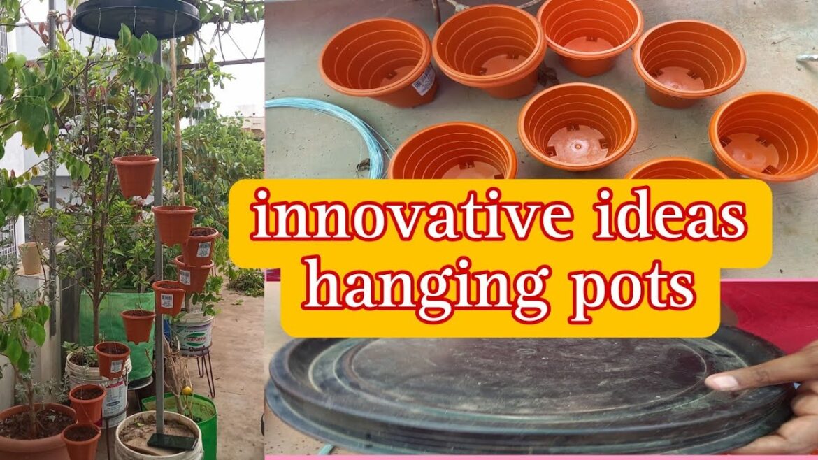 Amazing Plant Hacks And Best Garden Gadgets/innovating garden ideas/waste to best Amazing Plant Hacks And Best Garden Gadgets/innovating garden ideas/waste to best