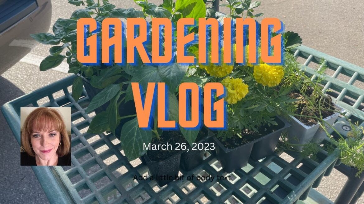 Check Out What I Planted in My Garden! | Gardening Vlog Check Out What I Planted in My Garden! | Gardening Vlog
