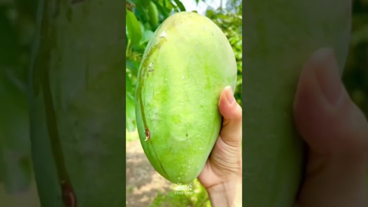 Best Oddly Satisfying Video & Relaxing Music | watermelon fruit cutting video #viral #shorts #13