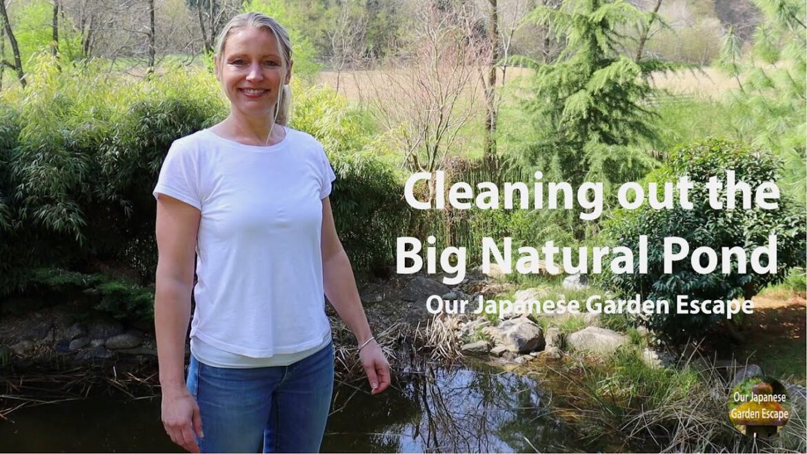 Natural Wildlife Pond Spring Clean | Our Japanese Garden Escape