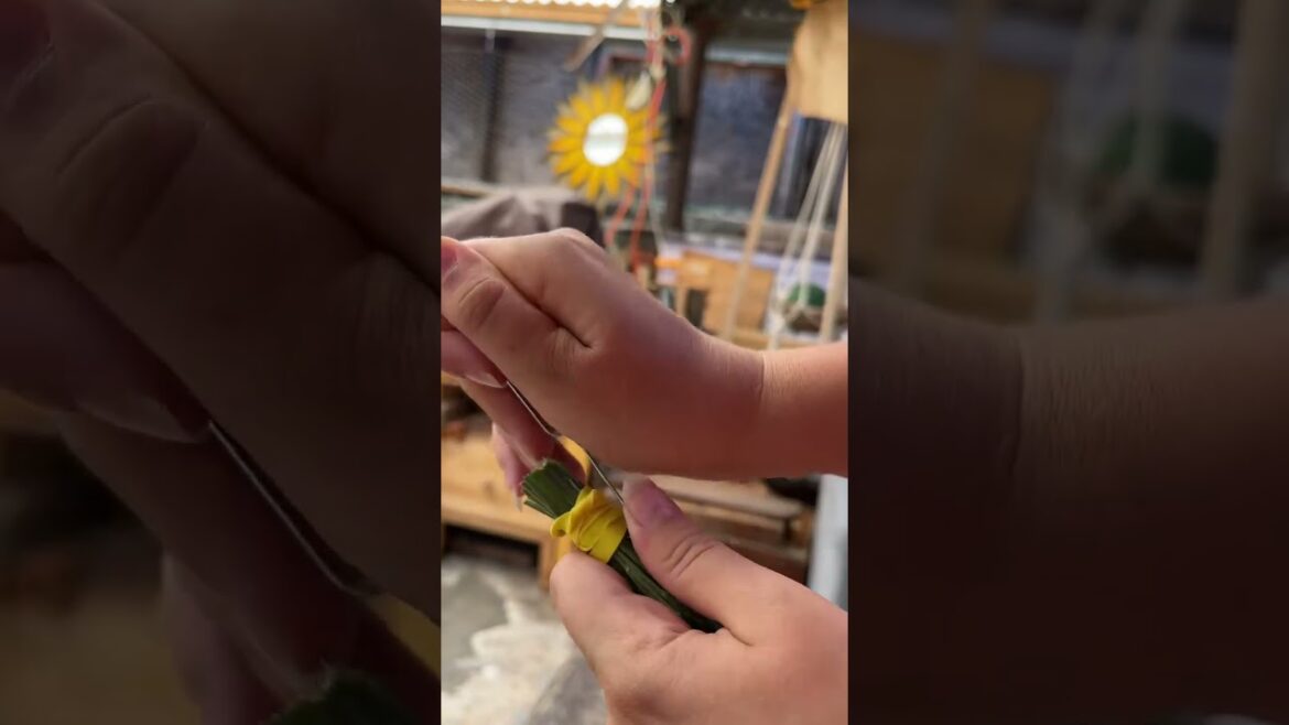 here’s how i dry all my harvested herbs