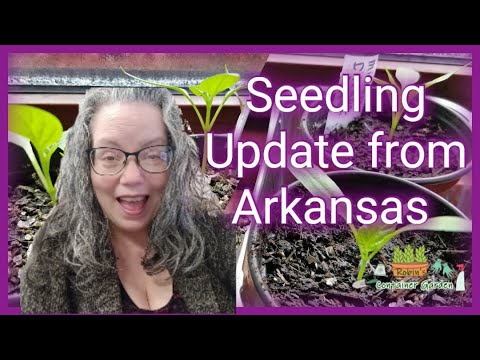 First Garden Update of the Season! First Garden Update of the Season!