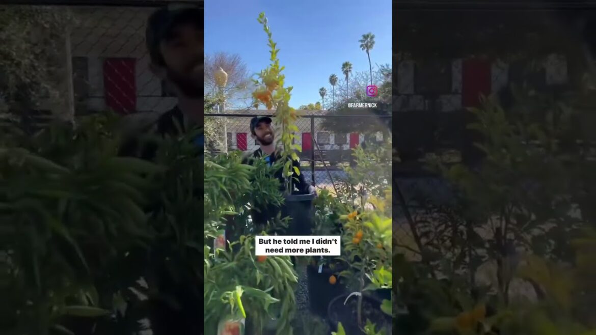 Friends don’t let friends stop buying plants 🚩⁣