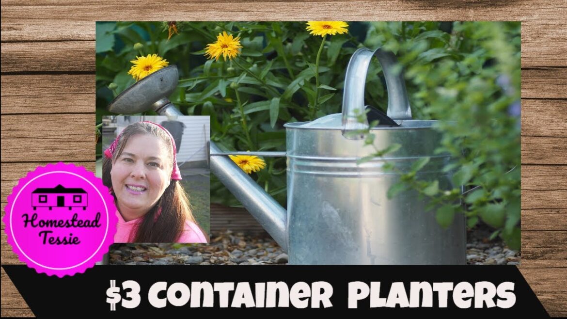 How to Turn $3 Storage Containers Into an Edible Garden