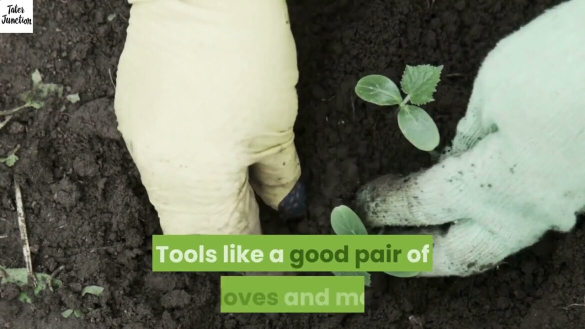 Organic Gardening Supplies UK - Organic Gardening 2023