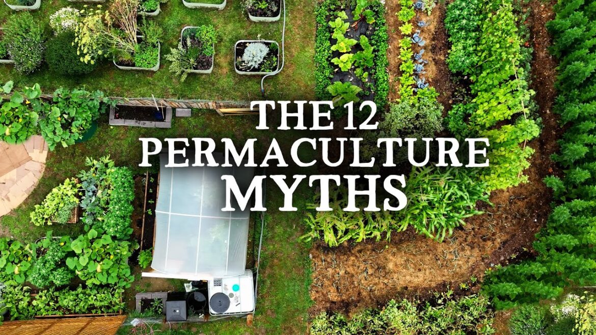 The 12 Myths of Permaculture | Setting The Record Straight