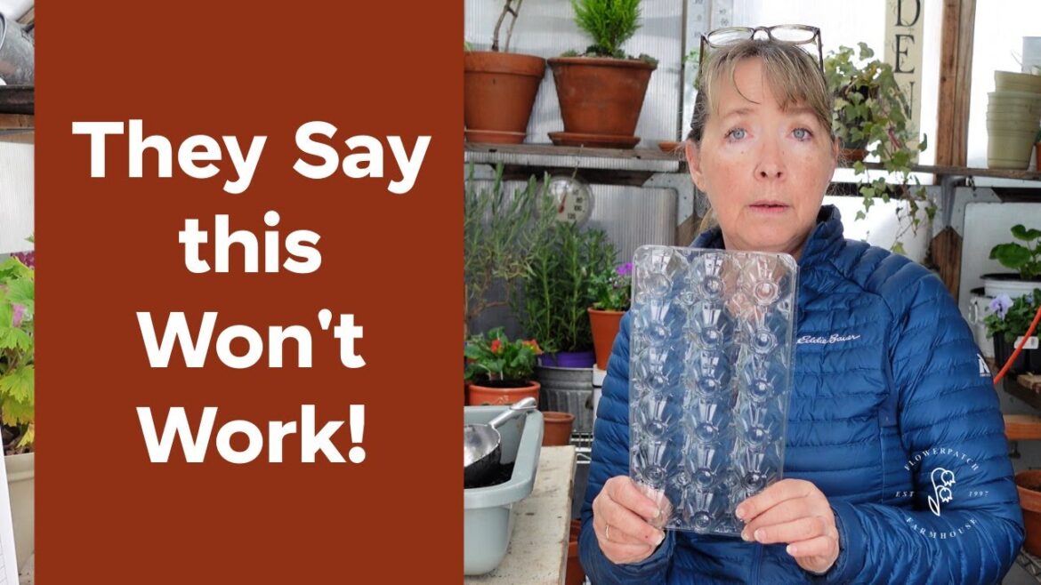 YES You Can SEED START in THESE! ๐ฟ YES You Can SEED START in THESE! ๐ฟ