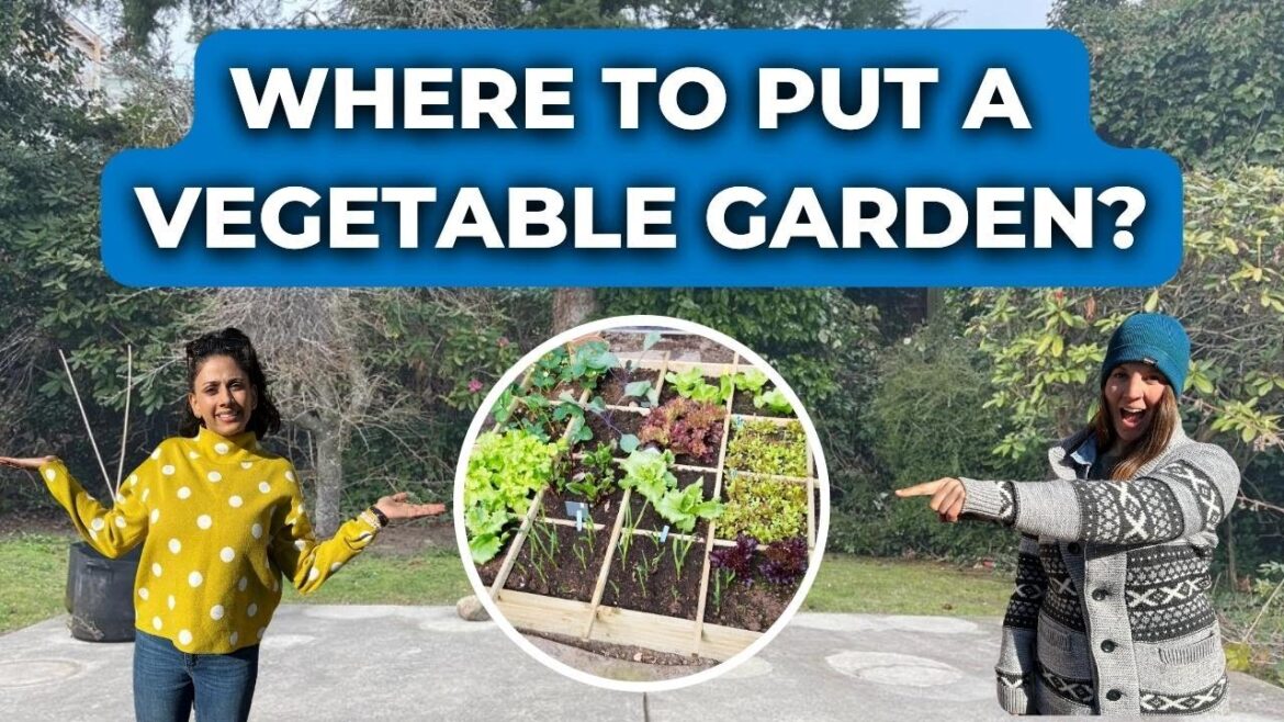 Where To Put Your Vegetable Garden