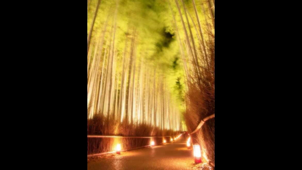 【Japanese Landscape】#shorts #Japan #japanese #garden #shrine